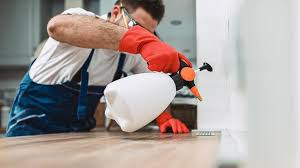 Professional Pest Control in Buffalo Grove, IL